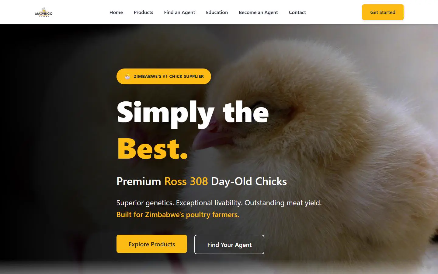 Masvingo Chicks website home page